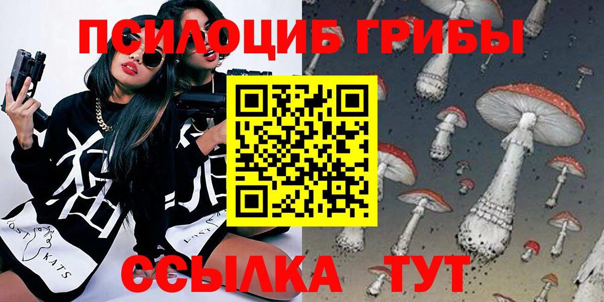 Псилоцибиновые грибы Psilocybe Тобольск